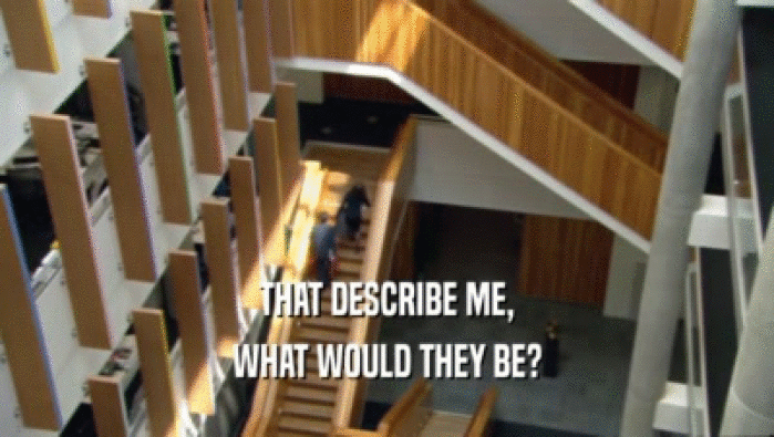 THAT DESCRIBE ME, WHAT WOULD THEY BE? 