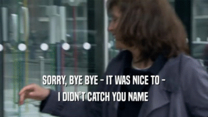 SORRY, BYE BYE - IT WAS NICE TO - I DIDN'T CATCH YOU NAME  