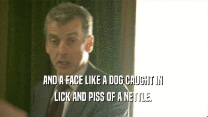 AND A FACE LIKE A DOG CAUGHT IN  LICK AND PISS OF A NETTLE.  