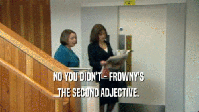 NO YOU DIDN'T - FROWNY'S 
 THE SECOND ADJECTIVE. 
 