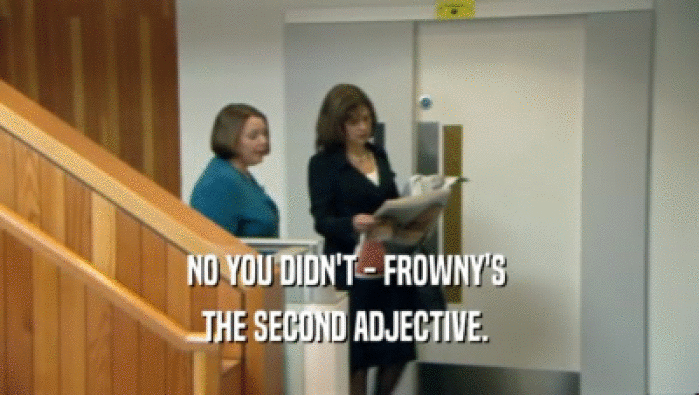 NO YOU DIDN'T - FROWNY'S  THE SECOND ADJECTIVE.  