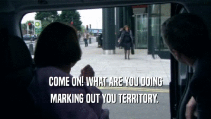 COME ON! WHAT ARE YOU DOING MARKING OUT YOU TERRITORY.  