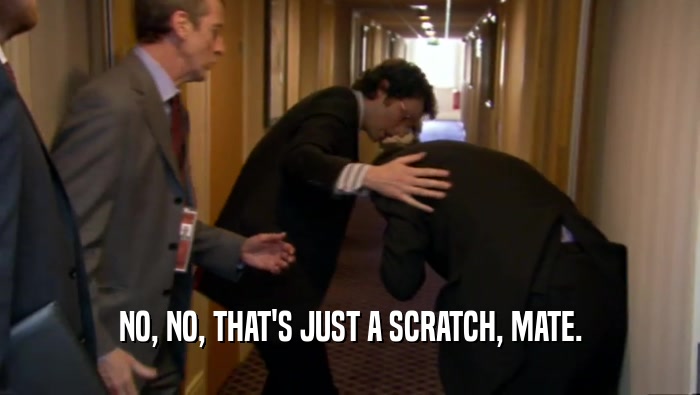 NO, NO, THAT'S JUST A SCRATCH, MATE.  