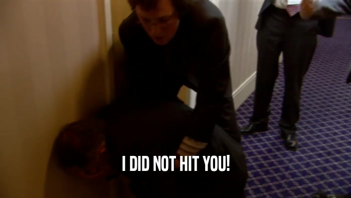I DID NOT HIT YOU!  
