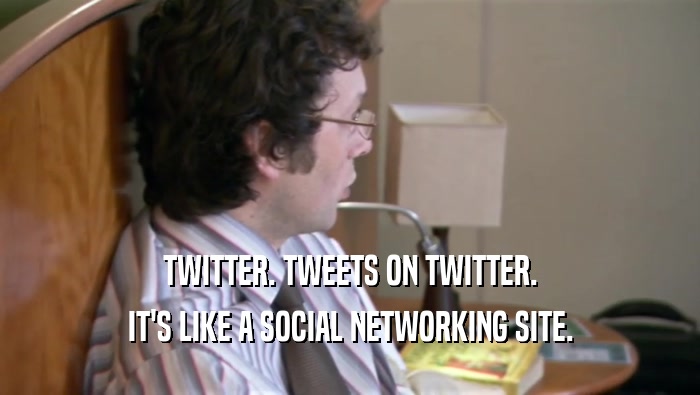 TWITTER. TWEETS ON TWITTER. IT'S LIKE A SOCIAL NETWORKING SITE. 