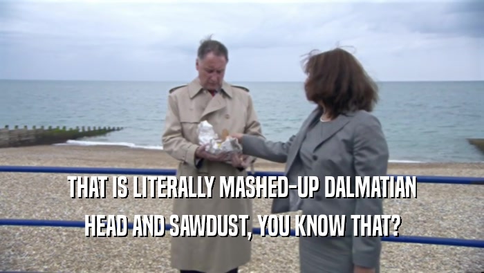 THAT IS LITERALLY MASHED-UP DALMATIAN HEAD AND SAWDUST, YOU KNOW THAT? 