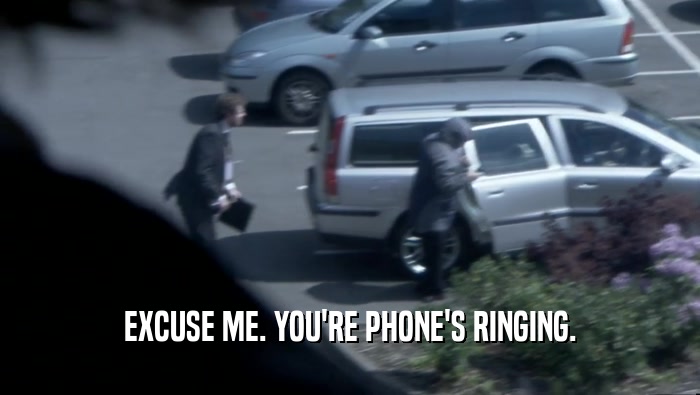 EXCUSE ME. YOU'RE PHONE'S RINGING.  