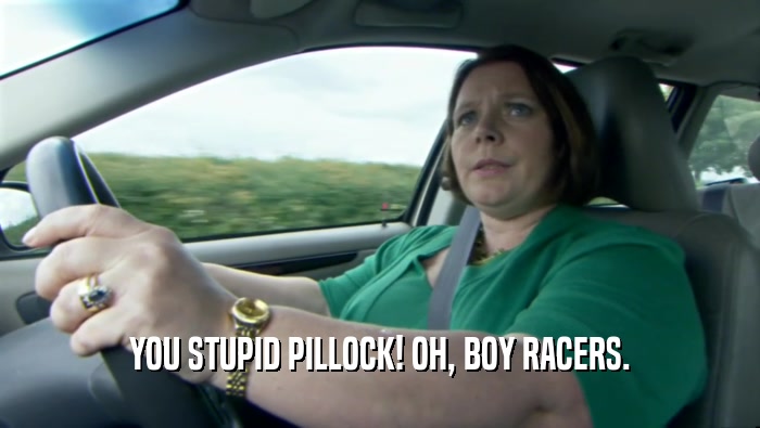 YOU STUPID PILLOCK! OH, BOY RACERS.  