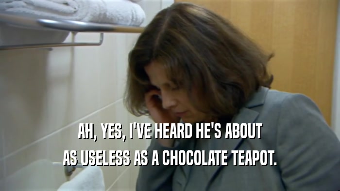 AH, YES, I'VE HEARD HE'S ABOUT AS USELESS AS A CHOCOLATE TEAPOT. 