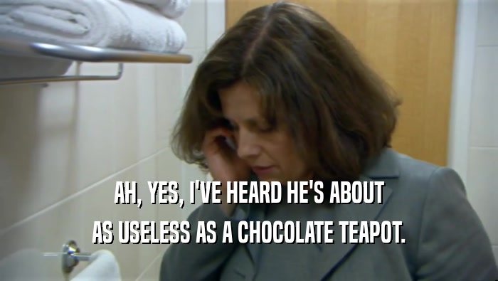 AH, YES, I'VE HEARD HE'S ABOUT AS USELESS AS A CHOCOLATE TEAPOT. 