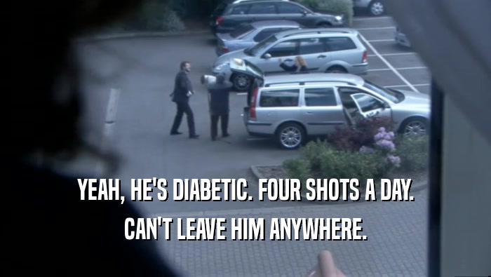 YEAH, HE'S DIABETIC. FOUR SHOTS A DAY. CAN'T LEAVE HIM ANYWHERE. 