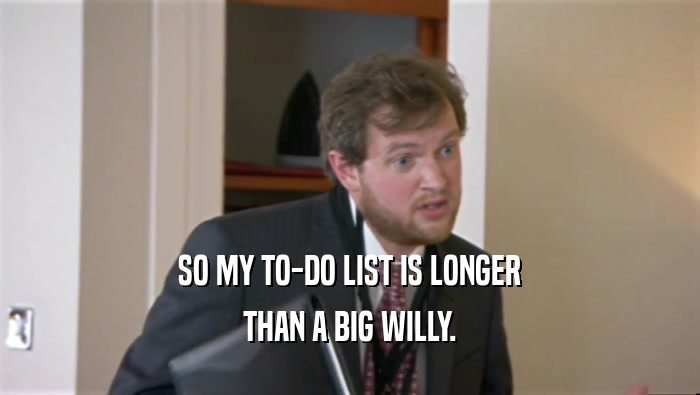 SO MY TO-DO LIST IS LONGER THAN A BIG WILLY. 