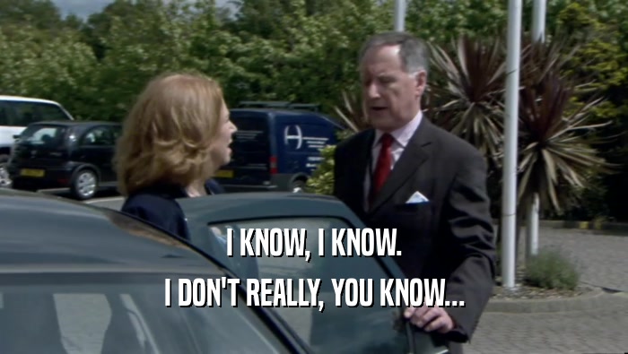 I KNOW, I KNOW. I DON'T REALLY, YOU KNOW... 