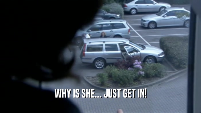 WHY IS SHE... JUST GET IN!  
