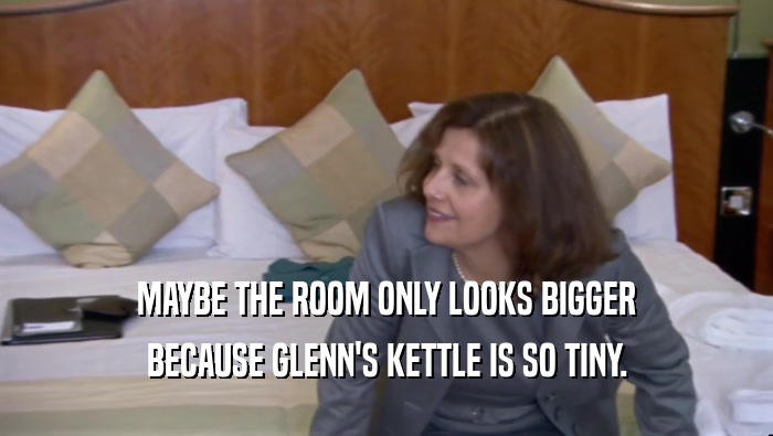 MAYBE THE ROOM ONLY LOOKS BIGGER BECAUSE GLENN'S KETTLE IS SO TINY. 