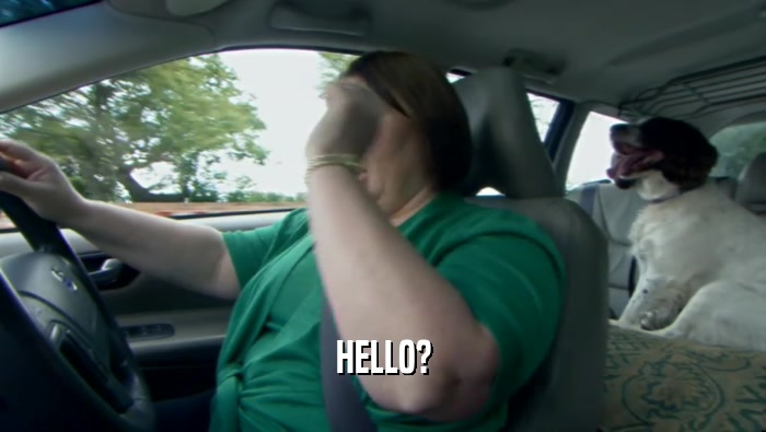 HELLO?  