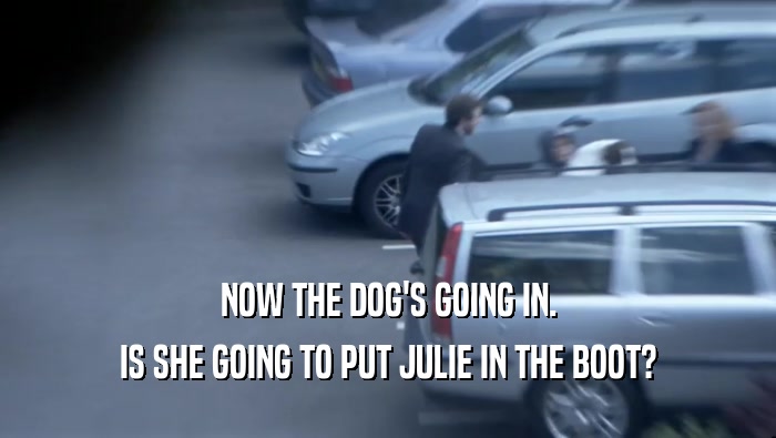 NOW THE DOG'S GOING IN. IS SHE GOING TO PUT JULIE IN THE BOOT? 
