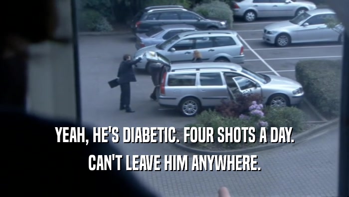 YEAH, HE'S DIABETIC. FOUR SHOTS A DAY. CAN'T LEAVE HIM ANYWHERE. 
