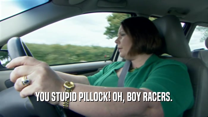YOU STUPID PILLOCK! OH, BOY RACERS.  