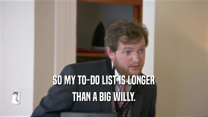 SO MY TO-DO LIST IS LONGER THAN A BIG WILLY. 