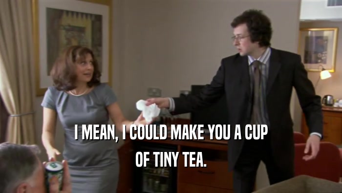 I MEAN, I COULD MAKE YOU A CUP OF TINY TEA. 
