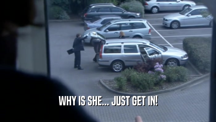 WHY IS SHE... JUST GET IN!  