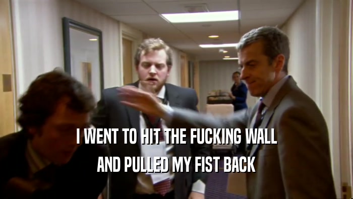 I WENT TO HIT THE FUCKING WALL AND PULLED MY FIST BACK 