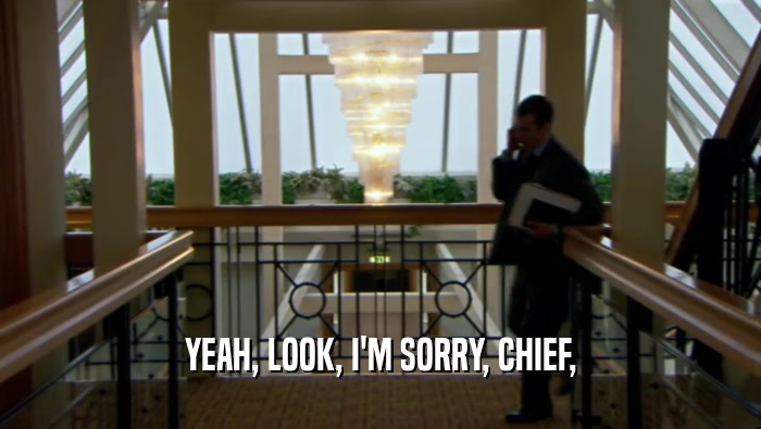 YEAH, LOOK, I'M SORRY, CHIEF,  