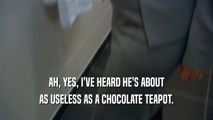 AH, YES, I'VE HEARD HE'S ABOUT AS USELESS AS A CHOCOLATE TEAPOT. 