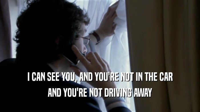 I CAN SEE YOU, AND YOU'RE NOT IN THE CAR AND YOU'RE NOT DRIVING AWAY 