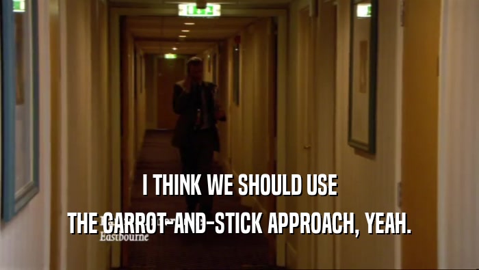 I THINK WE SHOULD USE THE CARROT-AND-STICK APPROACH, YEAH. 