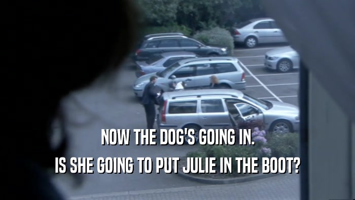 NOW THE DOG'S GOING IN. IS SHE GOING TO PUT JULIE IN THE BOOT? 