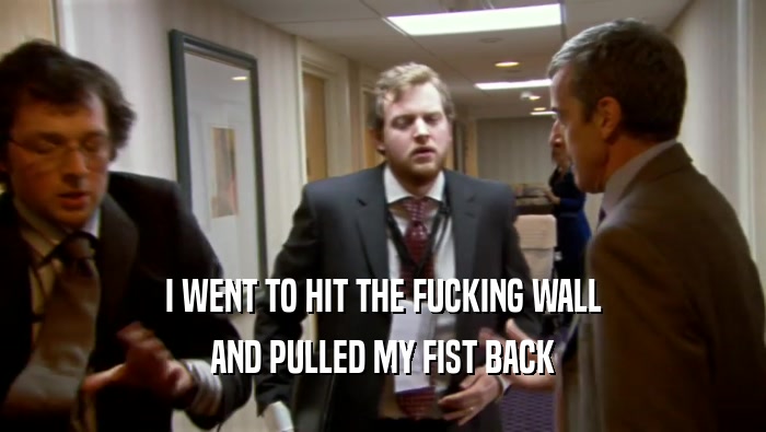 I WENT TO HIT THE FUCKING WALL AND PULLED MY FIST BACK 