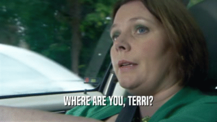 WHERE ARE YOU, TERRI?  