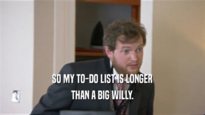 SO MY TO-DO LIST IS LONGER THAN A BIG WILLY. 