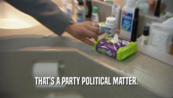THAT'S A PARTY POLITICAL MATTER.  
