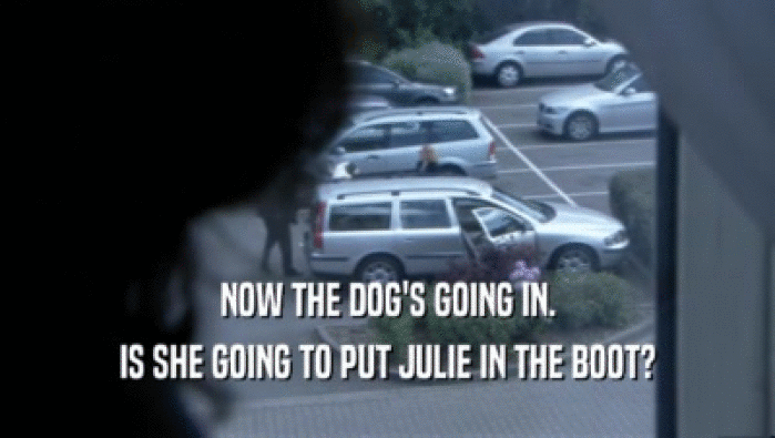 NOW THE DOG'S GOING IN. IS SHE GOING TO PUT JULIE IN THE BOOT? 