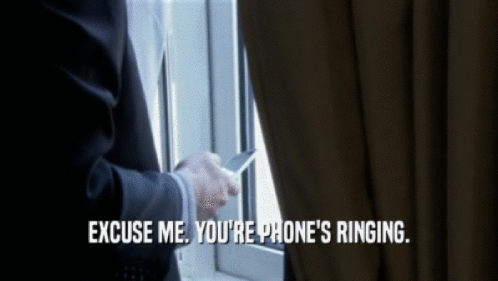 EXCUSE ME. YOU'RE PHONE'S RINGING.  