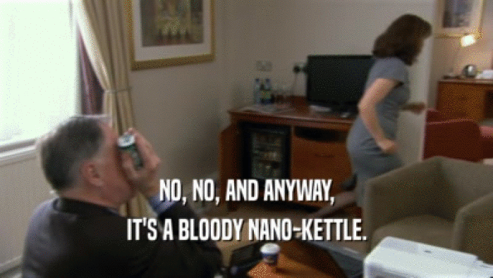 NO, NO, AND ANYWAY, IT'S A BLOODY NANO-KETTLE. 