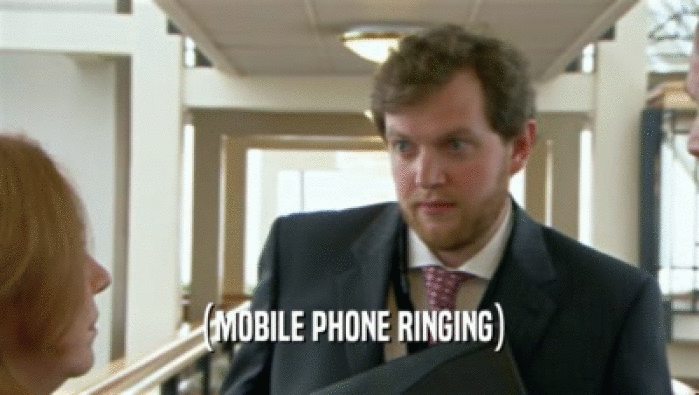 (MOBILE PHONE RINGING)  