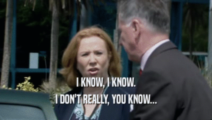 I KNOW, I KNOW. I DON'T REALLY, YOU KNOW... 