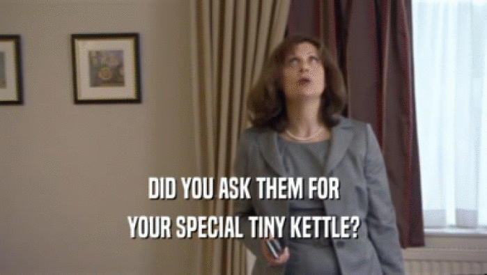 DID YOU ASK THEM FOR YOUR SPECIAL TINY KETTLE? 