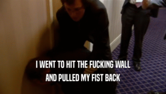 I WENT TO HIT THE FUCKING WALL AND PULLED MY FIST BACK 