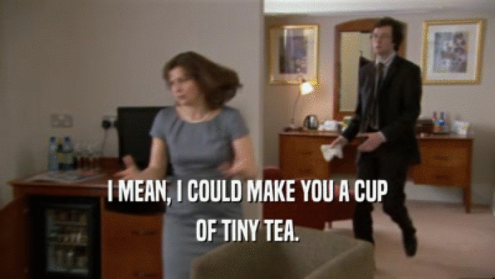 I MEAN, I COULD MAKE YOU A CUP OF TINY TEA. 