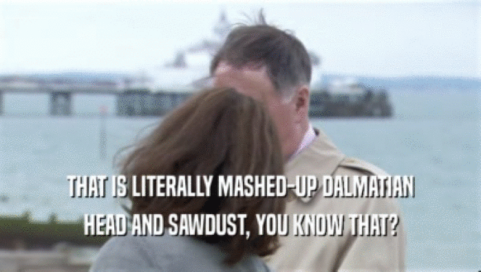 THAT IS LITERALLY MASHED-UP DALMATIAN HEAD AND SAWDUST, YOU KNOW THAT? 