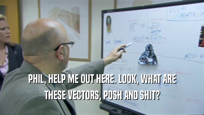 PHIL, HELP ME OUT HERE. LOOK, WHAT ARE THESE VECTORS, POSH AND SHIT? 
