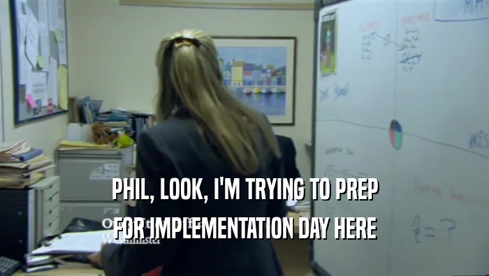 PHIL, LOOK, I'M TRYING TO PREP FOR IMPLEMENTATION DAY HERE 