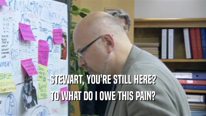 STEWART, YOU'RE STILL HERE? TO WHAT DO I OWE THIS PAIN? 