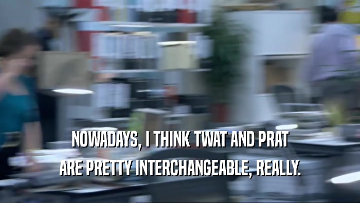 NOWADAYS, I THINK TWAT AND PRAT ARE PRETTY INTERCHANGEABLE, REALLY. 