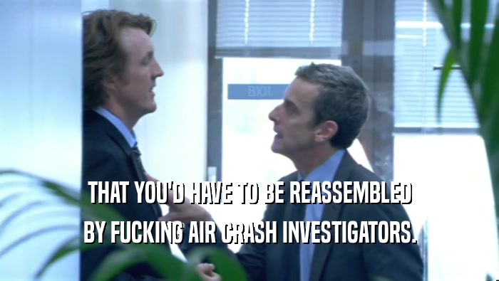 THAT YOU'D HAVE TO BE REASSEMBLED BY FUCKING AIR CRASH INVESTIGATORS. 